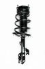 2333444R Suspension Strut and Coil Spring Assembly - image 1