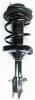 2333445L Suspension Strut and Coil Spring Assembly - image 1