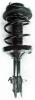 2333445R Suspension Strut and Coil Spring Assembly - image 1