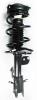 2333476L Suspension Strut and Coil Spring Assembly - image 1