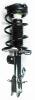 2333476R Suspension Strut and Coil Spring Assembly - image 1