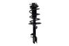 2333491L Suspension Strut and Coil Spring Assembly - image 1