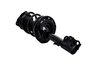 2333491L Suspension Strut and Coil Spring Assembly - image 2