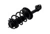 2333491L Suspension Strut and Coil Spring Assembly - image 3