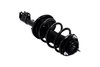2333491L Suspension Strut and Coil Spring Assembly - image 4