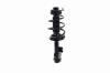 2333505L Suspension Strut and Coil Spring Assembly - image 1
