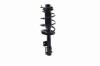 2333505R Suspension Strut and Coil Spring Assembly - image 1