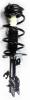 2333511L Suspension Strut and Coil Spring Assembly - image 1