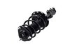 2333524L Suspension Strut and Coil Spring Assembly - image 3
