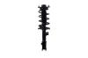 2333532L Suspension Strut and Coil Spring Assembly - image 1