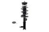 2333714L Suspension Strut and Coil Spring Assembly - image 1