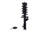 2333716L Suspension Strut and Coil Spring Assembly - image 1