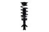 2333737 Suspension Strut and Coil Spring Assembly - image 1