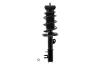 2333742L Suspension Strut and Coil Spring Assembly - image 1