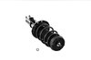 2333742L Suspension Strut and Coil Spring Assembly - image 4