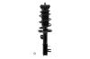 2333742R Suspension Strut and Coil Spring Assembly - image 1