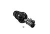 2333742R Suspension Strut and Coil Spring Assembly - image 2