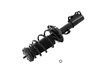 2333742R Suspension Strut and Coil Spring Assembly - image 3