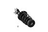 2333742R Suspension Strut and Coil Spring Assembly - image 4