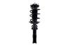 2333750 Suspension Strut and Coil Spring Assembly - image 1