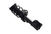 2333750 Suspension Strut and Coil Spring Assembly - image 2