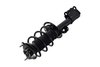 2333750 Suspension Strut and Coil Spring Assembly - image 3