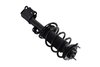 2333750 Suspension Strut and Coil Spring Assembly - image 4