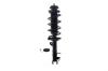 2333751L Suspension Strut and Coil Spring Assembly - image 1