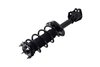 2333790L Suspension Strut and Coil Spring Assembly - image 3