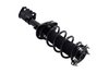 2333790L Suspension Strut and Coil Spring Assembly - image 4