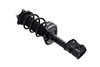 2333790R Suspension Strut and Coil Spring Assembly - image 2