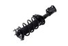 2333790R Suspension Strut and Coil Spring Assembly - image 3