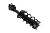 2333790R Suspension Strut and Coil Spring Assembly - image 4