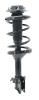 2333816R Suspension Strut and Coil Spring Assembly - image 1