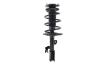 2333817L Suspension Strut and Coil Spring Assembly - image 1