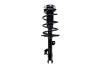 2333818L Suspension Strut and Coil Spring Assembly - image 1
