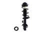 2333823L Suspension Strut and Coil Spring Assembly - image 1