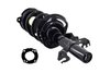 2333823L Suspension Strut and Coil Spring Assembly - image 2