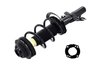 2333823L Suspension Strut and Coil Spring Assembly - image 3
