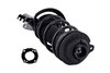 2333823L Suspension Strut and Coil Spring Assembly - image 4