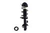 2333823R Suspension Strut and Coil Spring Assembly - image 1