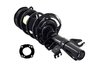 2333823R Suspension Strut and Coil Spring Assembly - image 2