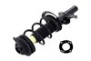 2333823R Suspension Strut and Coil Spring Assembly - image 3