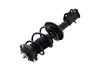 2333841L Suspension Strut and Coil Spring Assembly - image 3