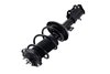 2333841R Suspension Strut and Coil Spring Assembly - image 3