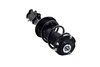 2333841R Suspension Strut and Coil Spring Assembly - image 4