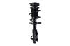 2333842L Suspension Strut and Coil Spring Assembly - image 1