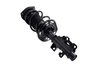 2333842L Suspension Strut and Coil Spring Assembly - image 2