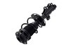 2333842R Suspension Strut and Coil Spring Assembly - image 3