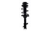 2333923L Suspension Strut and Coil Spring Assembly - image 1